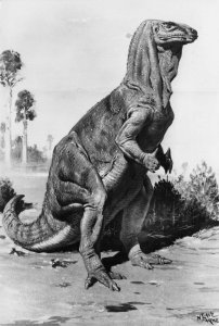 Iguanodon Prehistoric Dinosaur Vintage Museum Real Photo Postcard