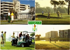 PC GOLF, SPORT, PINEBROOK GOLF COURSE, Modern Postcard (b45948)