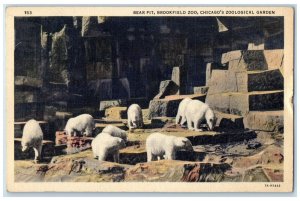 1940 Bear Pit View Brookfield Zoo Chicago's Zoological Garden IL Posted Postcard 