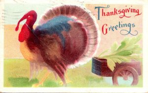 Thanksgiving Greetings With Turkey 1910