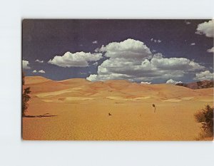 Postcard Great Sand Dunes National Monument San Luis Valley  Sangre de Christo
