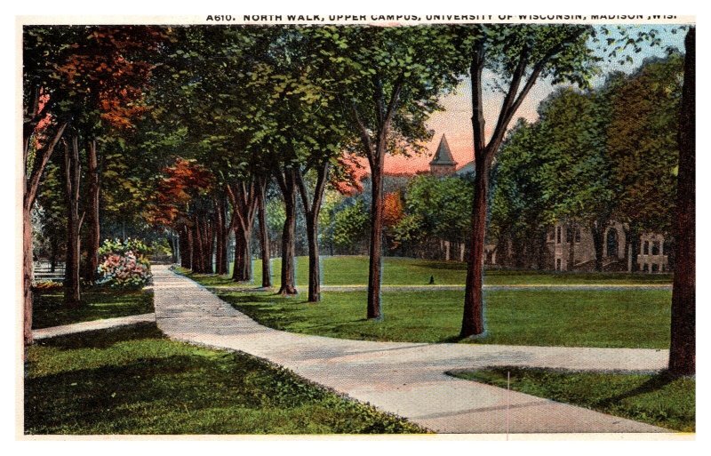 Postcard WI Madison - North Walk Upper Campus   - University of Wisconsin