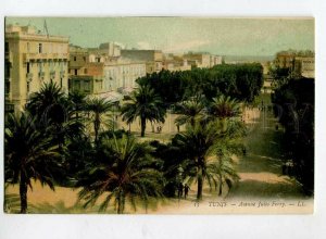 3151849 Tunisia TUNIS Avenue Jules Ferry Vintage postcard