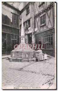 Old Postcard Angers Fountain peid ball