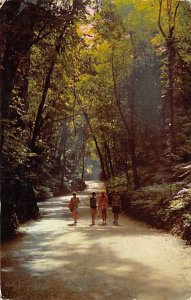 Morning Mist in Famous Fern Gully Ocho Rios Jamaica Postal used unknown 