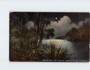Postcard Moonlight On The St. Johns River, Florida