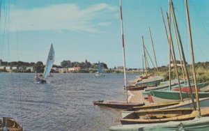 Pagham Sussex Lagoon Sailing Boats 1960s Postcard