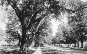 Street Scene - Mancheseter, Vermont VT Postcard