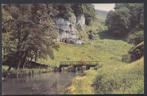 Derbyshire Postcard - Beresford Dale     RS10373