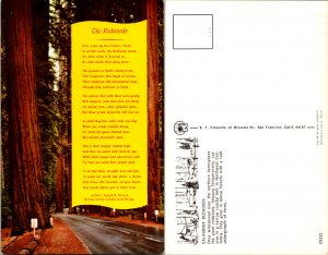 The Redwoods (15039