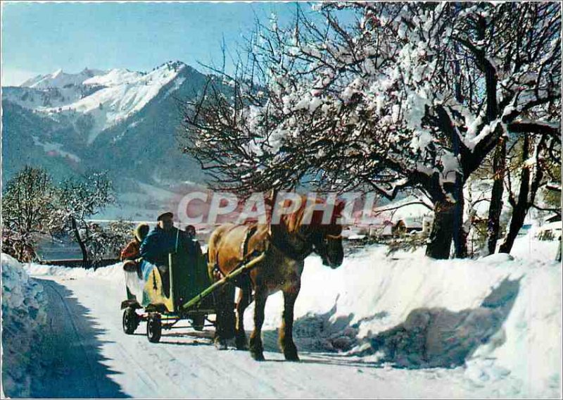 Postcard Modern Snow and Sun