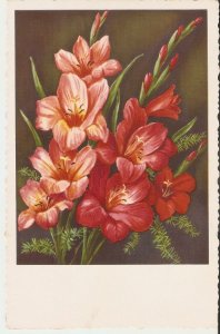 Beautiful flowers bouquetOld vintage German postcard