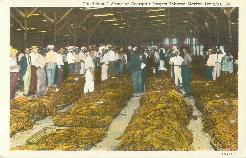 Douglas Georgia Tobacco Market In Action Vintage Linen Postcard, Men in Hats