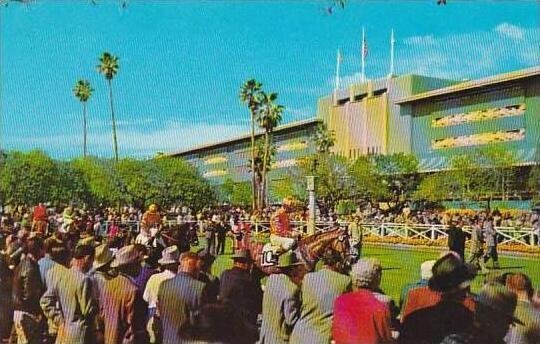 California Arcadia The Paddock And Grandstand Santa Anita Park