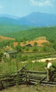 Vintage Postcard Mountain Green Field Trees Countryside Home in West Virginia