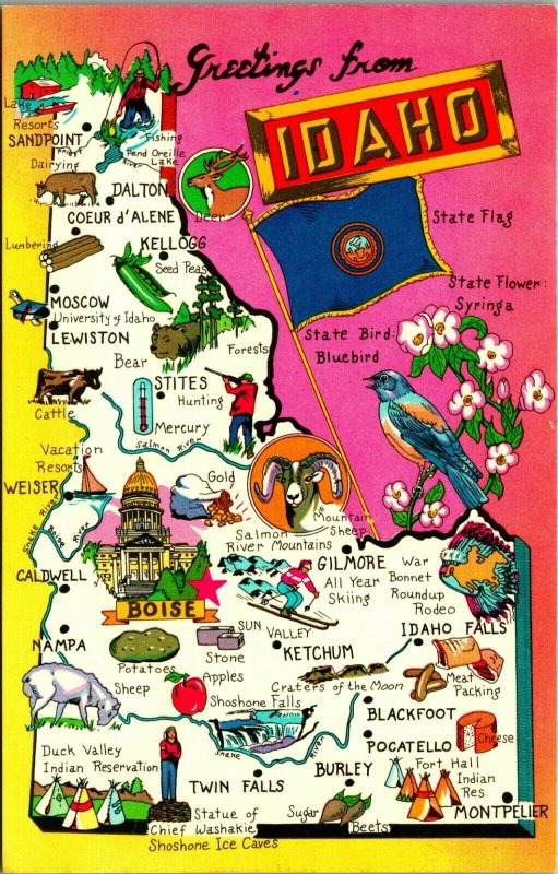 Greetings From Idaho Map Lusterchrome Vtg Chrome Postcard Unused UNP