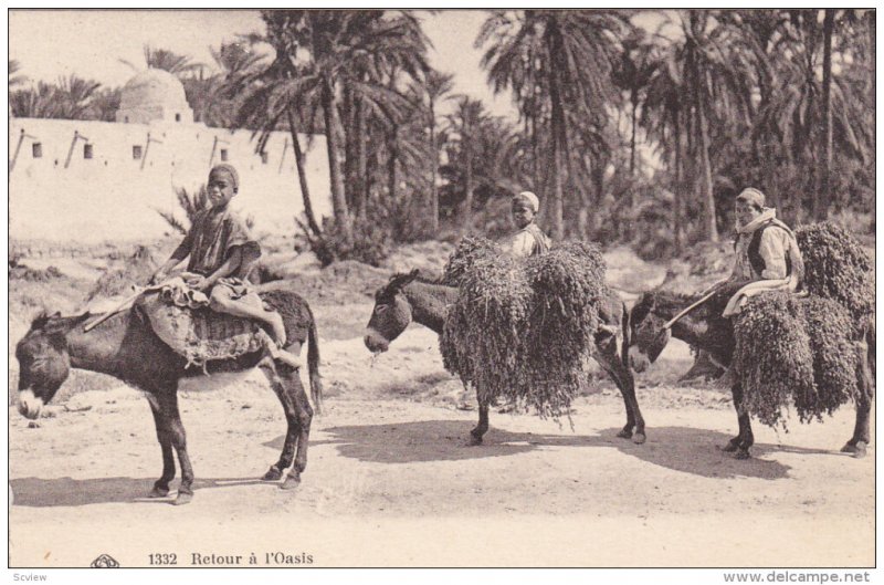 Boys on Donkeys , Retour a l'Oasis , Algeria , 00-10s