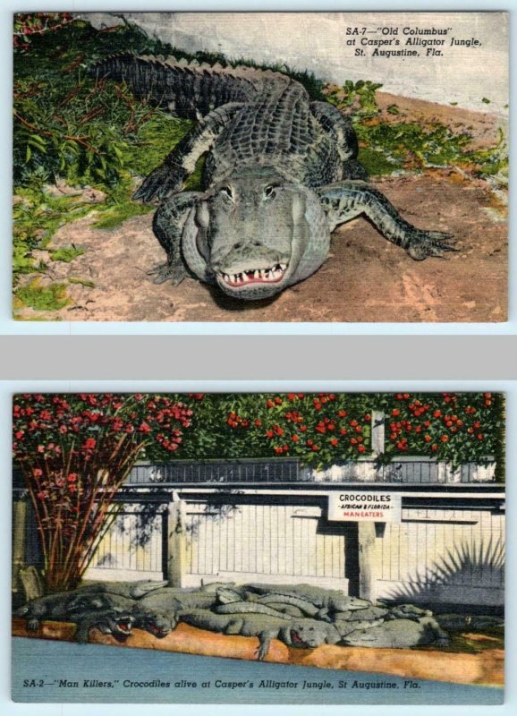 2 Postcards ST. AUGUSTINE, FL ~ CASPER'S ALIGATOR JUNGLE Columbus & Crocodiles