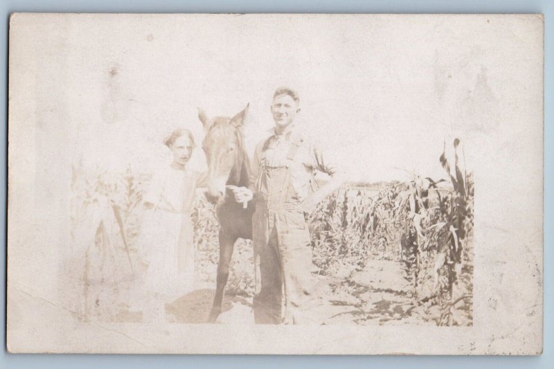 Talmage Nebraska NE Postcard RPPC Photo Father And Daughter Scene Field 1914