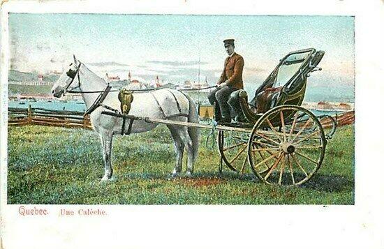 Canada, Quebec, Montreal, Horse and Carriage, Ume Caleche