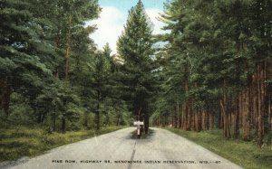 Vintage Postcard 1963 Pine Row Highway 55 Menominee Indian Reservation Wisconsin