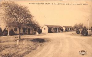 E44/ Etowah Tennessee Tn Postcard 1955 Dogwood Motor Court Roadside