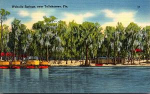 Florida Tallahassee Waukulla Springs 1943