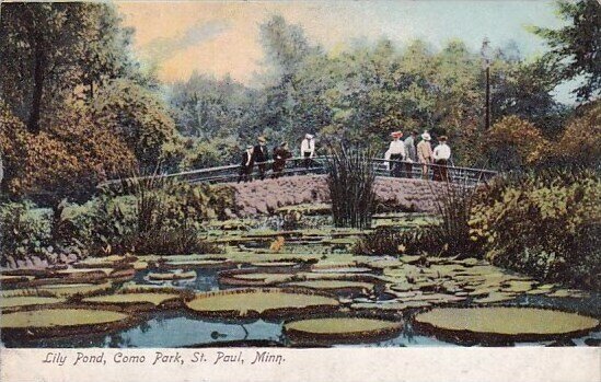 Lily Pond Como Park Saint Paul Minnesota