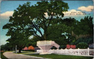 Oak Tree East Beach Biloxi Mississippi MS Linen Postcard 1946 JL1