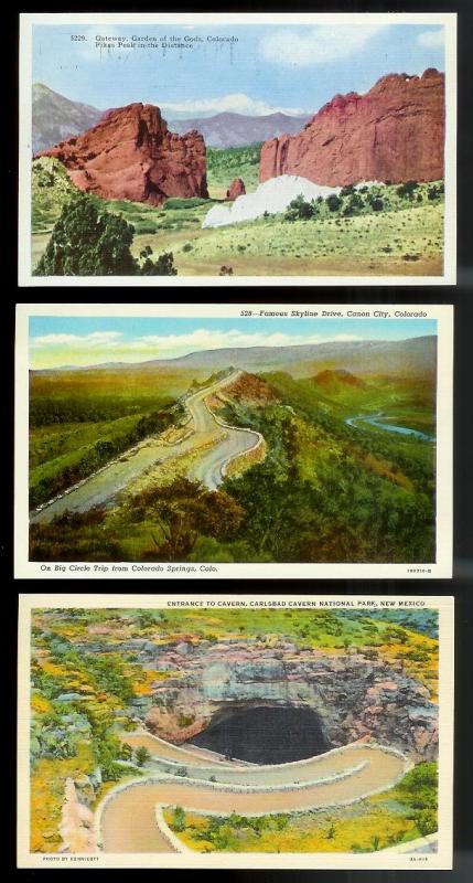 USA (31) Diff Western Scenery Yellowstone unused c1920-1940