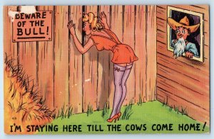 Woman Peeping Beware Of The Bull I'm Staying Here Until Cows Come Home Postcard