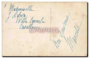 Old Postcard Cat Cats Kitten