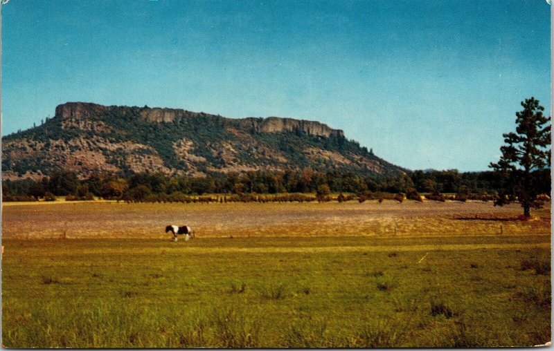 Table Rock Rogue River Valley Pacific Hwy Medford Oregon OR Postcard UNP VTG 