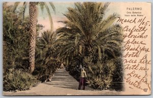 Vtg Italy Palermo Orto Botanico Viale delle Palme Garden 1905 View Postcard