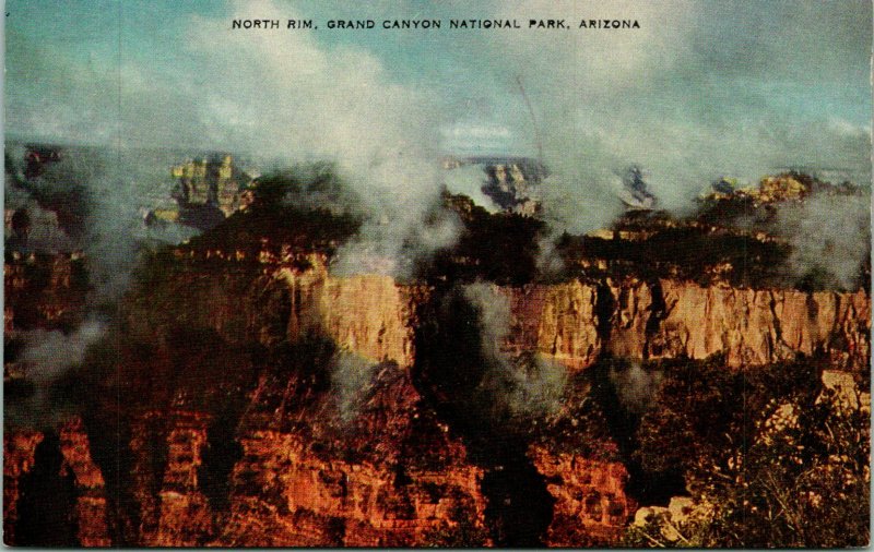 Grand Canyon AZ North Rim Postcard Unused (29668)