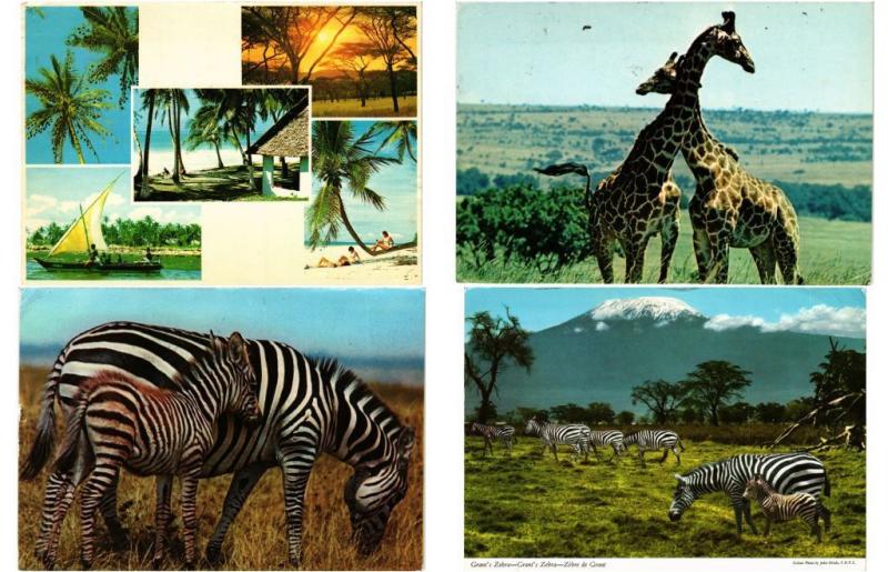 KENYA 96 AFRIQUE AFRICA Postcards CPM Mostly 1950-1990 (L3287)