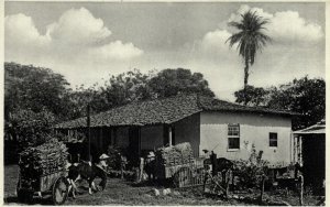 Costa Rica, C.A., Casa Campestre, Ox Cart (1920s) Postcard