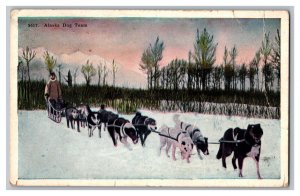 c1935 Postcard AK Alaska Dog Team Dogs Musher 