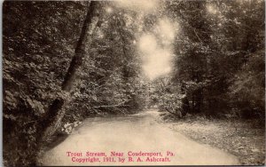Pennsylvania Trout Stream Near Coudersport