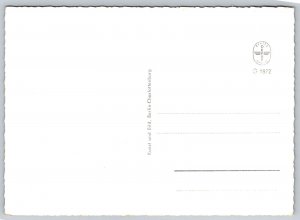 RPPC  Berlin  Germany  Mauer und Stacheldrahtgrenze  Postcard