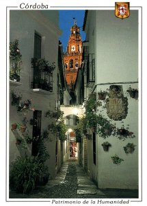 Flores Narrow Street,Cordoba,Spain