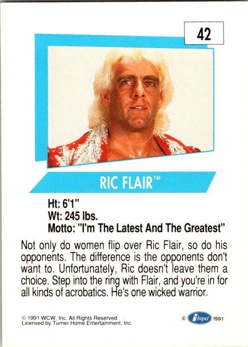 1991 WCW Wrestling Card Ric Flair sk21169