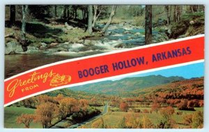 Greetings from BOOGER HOLLOW, Arkansas AR ~ Roadside Pope County 1950s Postcard