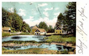 Postcard HOUSE SCENE Nashua New Hampshire NH AS7730