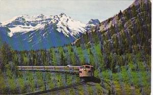 Canadian Pacific Railway Eastbound Canadian In Alberta 1974