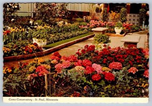 Como Conservatory, St Paul, Minnesota, Chrome Postcard, NOS