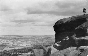 uk29596 cow and calf rocks ilkley real photo uk