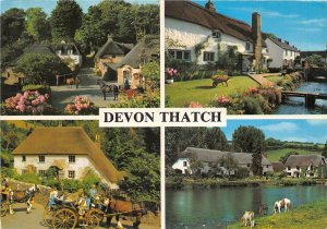 uk45955 devon thatch  uk