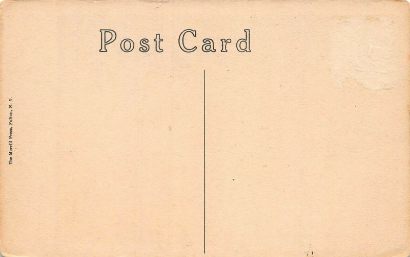 Wildmere House, Minnewaska, New York, Early Postcard, Unused 