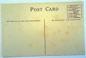 3 VINTAGE POSTCARDS GOLD PRINTING OF RED STAR LINE - 1920. UNUSED!!!